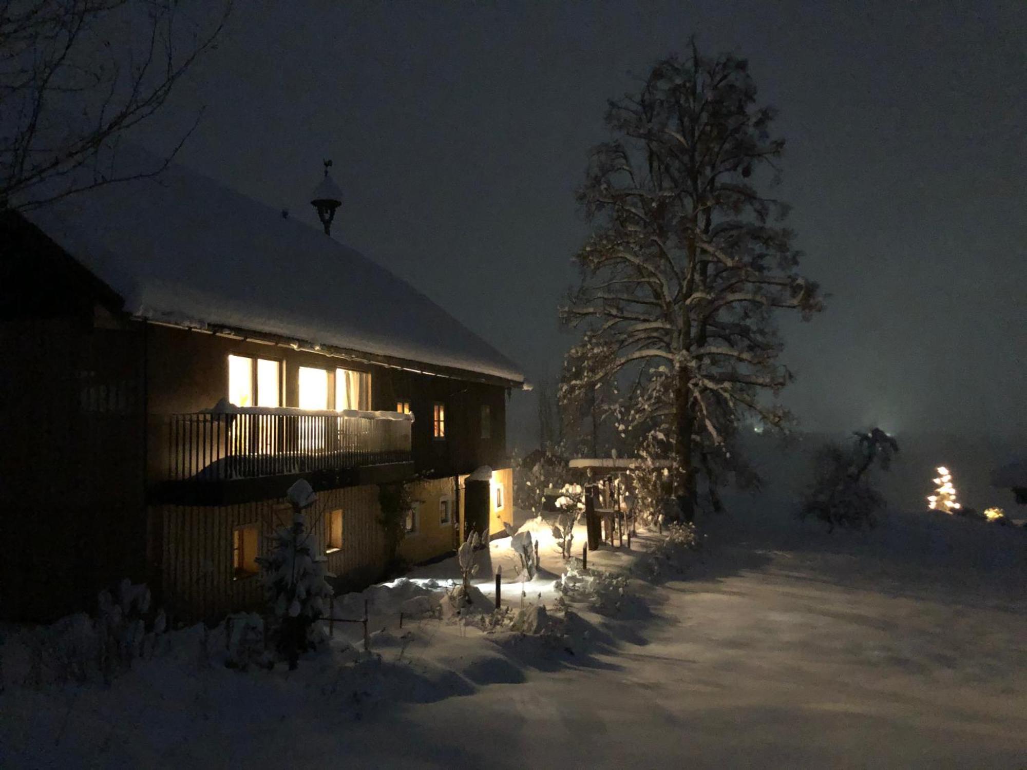 Apartment Stillleben Luxus Fuer Die Seele Abtenau Exterior foto